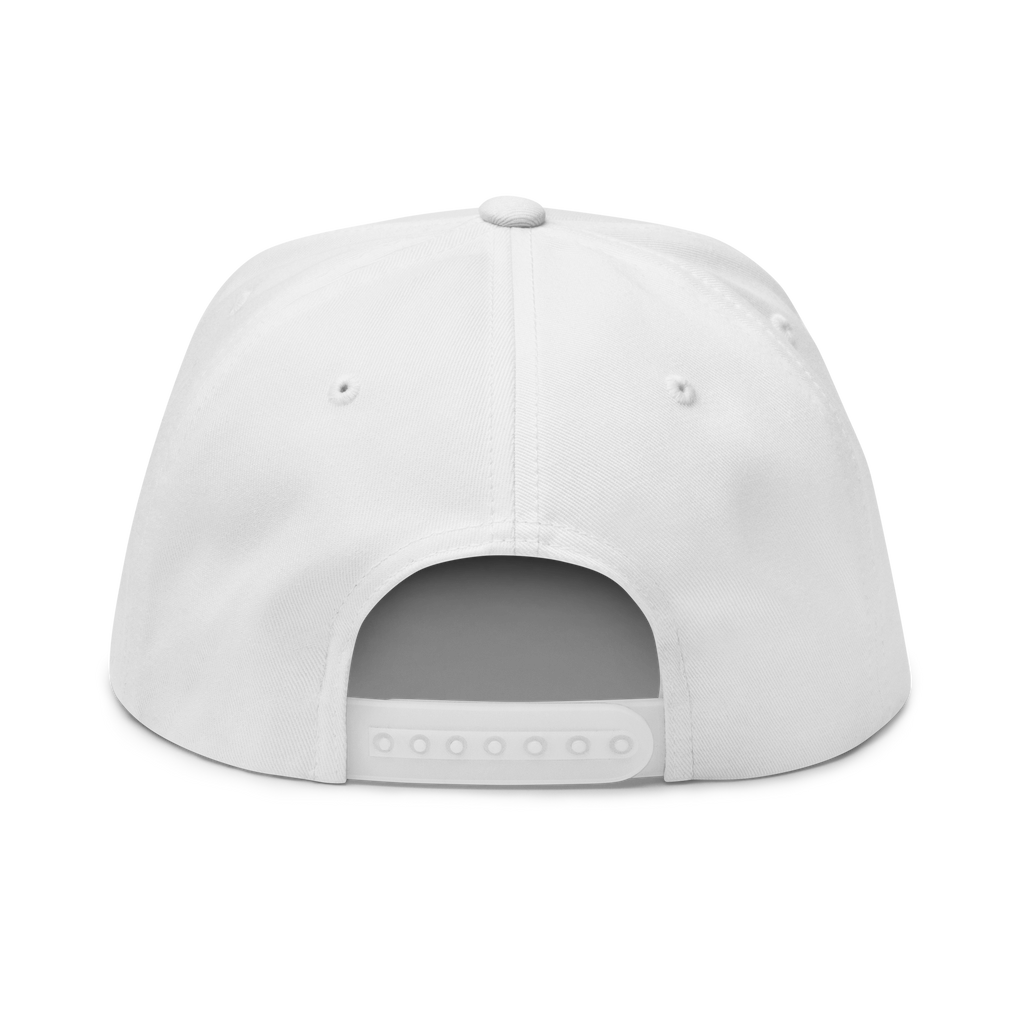 Modelo Vallejo Flat Bill Cap